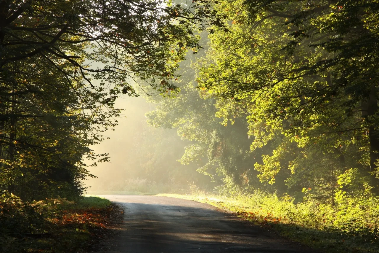 Road